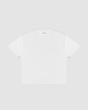 Fundamental T